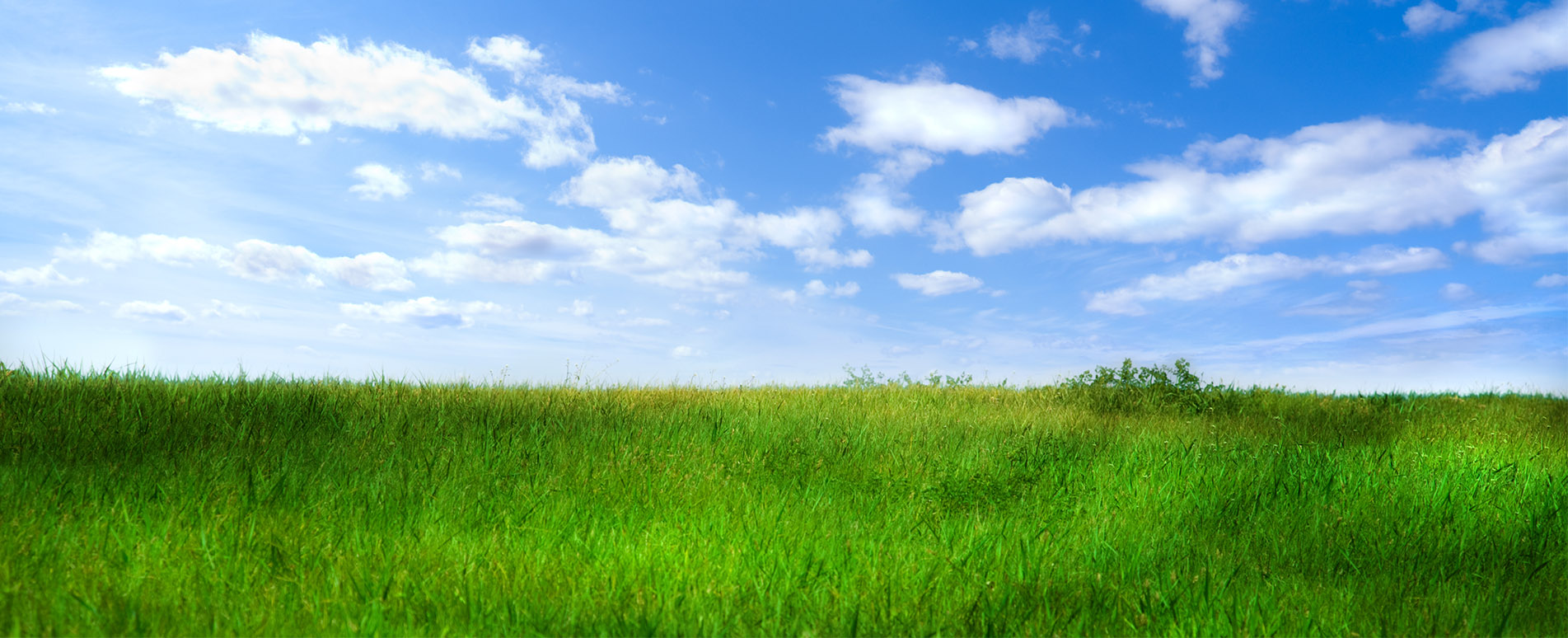 Banner - Steffen Zeh